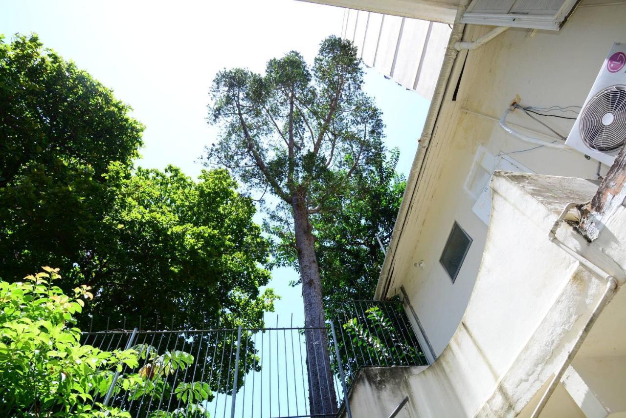 Cozy Flamengo - 3 Hospedes, Conforto E Privativo! リオデジャネイロ エクステリア 写真